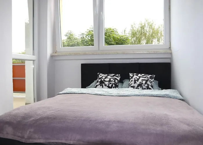 - Ul Czarnieckiego *